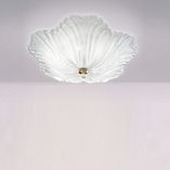 648 PL 55 cristallo.60