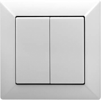 выключатель двухклавишный Jung серия Eco Profi выключатель двухклавишный Jung серия Eco Profi